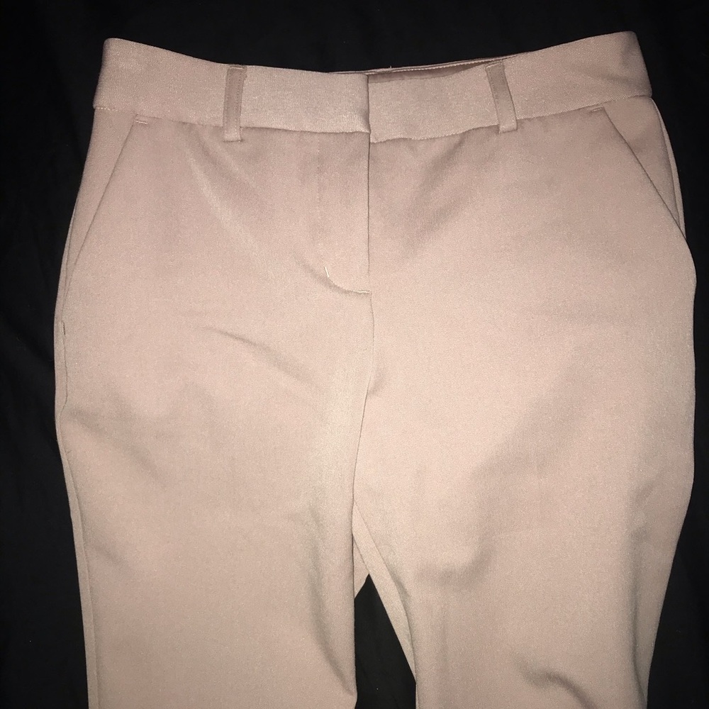 Express Columnist Work Pants